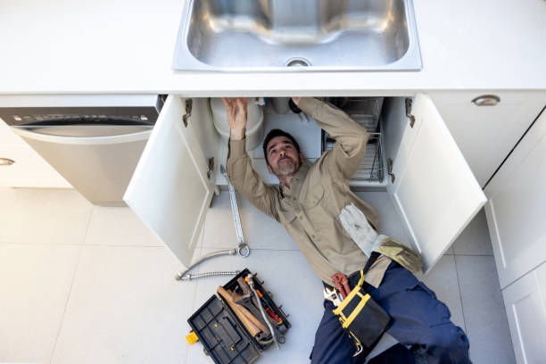 Best Local Plumber Services  in Arroyo Seco, NM